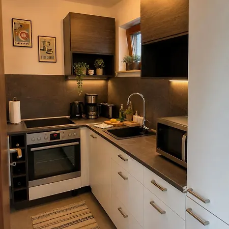 Mit Whirpool, Fasssauna Und Massagesessel - Apartman Medebach